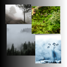 Load image into Gallery viewer, Bay Fog Room & Linen Mist