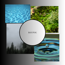 Load image into Gallery viewer, Bay Fog Tin