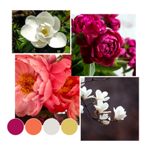 Load image into Gallery viewer, Golden Petals Wax Melts