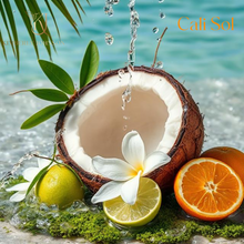 Load image into Gallery viewer, Cali Sol Travel Tin