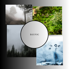 Load image into Gallery viewer, Bay Fog