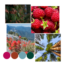 Load image into Gallery viewer, High Sierra Room & Linen Mist