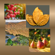 Load image into Gallery viewer, Mulholland Drive Room &amp; Linen Mist
