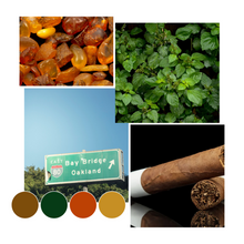 Load image into Gallery viewer, Oakland Town Biz Room &amp; Linen Mist
